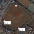 탄금야구장 이미지