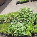 오산농업협동조합 경제사업장 이미지