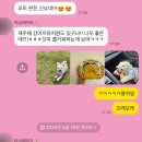 도그모루 애견유치원 | 제주 동쪽 조천 도그모루애견유치원