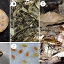 생태전문생태야생태 이미지