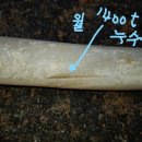 가나지하수 네이버블로그