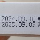 여리수 이미지