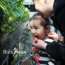 체험아이 유한회사 이미지