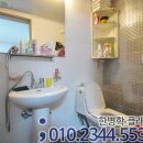 솔내음 파비르 이미지