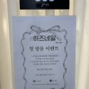 하즈네일