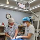 태백동물병원 이미지