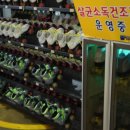 고고게임랜드 이미지