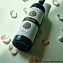 쓰리피오(3PIO) | 이탈리아와인추천 Pio Cesare Ornato Barolo 2016(피오 체사레 오르나토 바롤로 2016) 이태리와인 와인선물