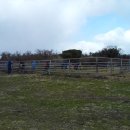 서부목장 이미지