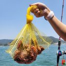 늑도낚시편의점 이미지