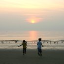 소나무 풍경 이미지