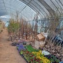 천국나무농원 이미지