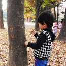 시낭공원 이미지