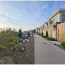 13월의 경주 이미지