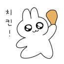 피나치공 이미지