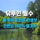 신사여행사 | 후쿠오카 유후인 당일치기 투어 | 긴린코 호수와 텐소 신사 방문 후기