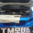 100프로카센타 이미지