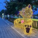 260709_아라뱃길_LSD_25K_갈매기런 이미지