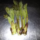 주암민물가든 이미지