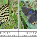 부전빌딩 이미지