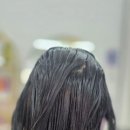 갈롱헤어