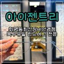 래쉬핏(Lash Fit) | 부산 화명동 안경점 아이젠트리 안경알 교체 검안 후기