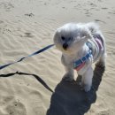 파라독스글램핑 이미지