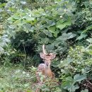 마라농장 이미지