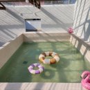 스테이 도랑 이미지