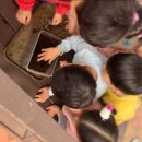 선진유치원 이미지