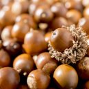 오생별미묵집 이미지