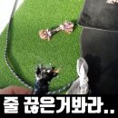 (주)더파인