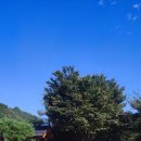 산아래펜션 네이버블로그