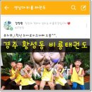 비룡키즈태권도장 이미지