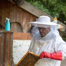 안일영농 이미지