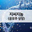 지씨 이미지