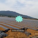 지산3리 이미지