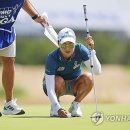 (주)메이저라인 연합뉴스