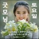 잘굴러당구클럽 Daum카페