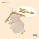 (주)세가코리아 | [임신 35주차] 이대서울병원 질내균검사·자궁경부길이·내진·환도선다 + 압박스타킹 처방