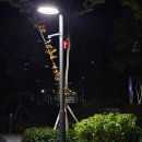 뉴남대문안경 | A Trip to Seoul