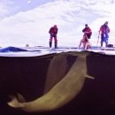 자유롭게저하늘에 이미지