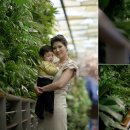 포시즌PC 이미지