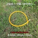 팜마트