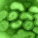 중추양계장 이미지