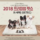 바우미우동물병원 | 2018 프리미엄펫쇼 국내최대 펫박람회 in 세텍(세텍 저렴한 주차꿀팁 有)