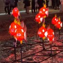 잉어 | 2025 서울 빛 초롱 축제 청계천 잉어 킹 후기