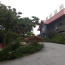 도청대로(서) Daum카페