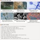 나래세탁 이미지