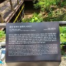 삼봉휴양림~구룡령~칡소폭포~살둔마을~평창숲속의 요정 키즈펜션.(6.25) 이미지